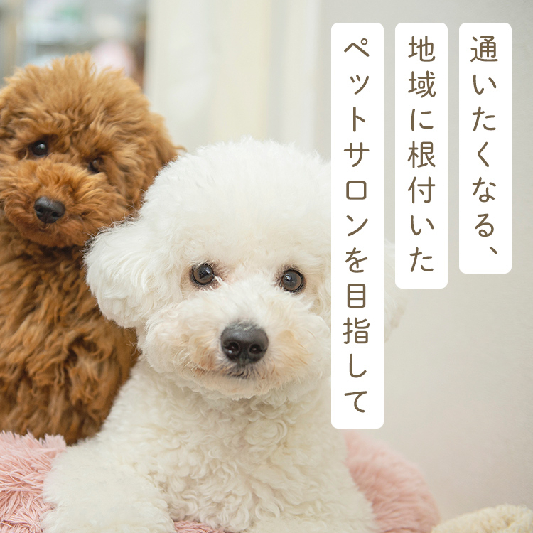 DogAmigo 巣鴨店